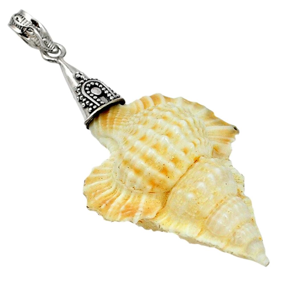 925 sterling silver natural white turbo seashell fancy pendant jewelry d5320