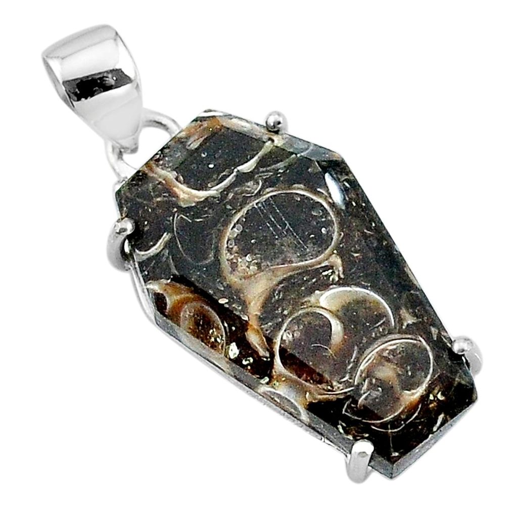 925 silver 14.08cts coffin natural turritella fossil snail agate pendant t11892