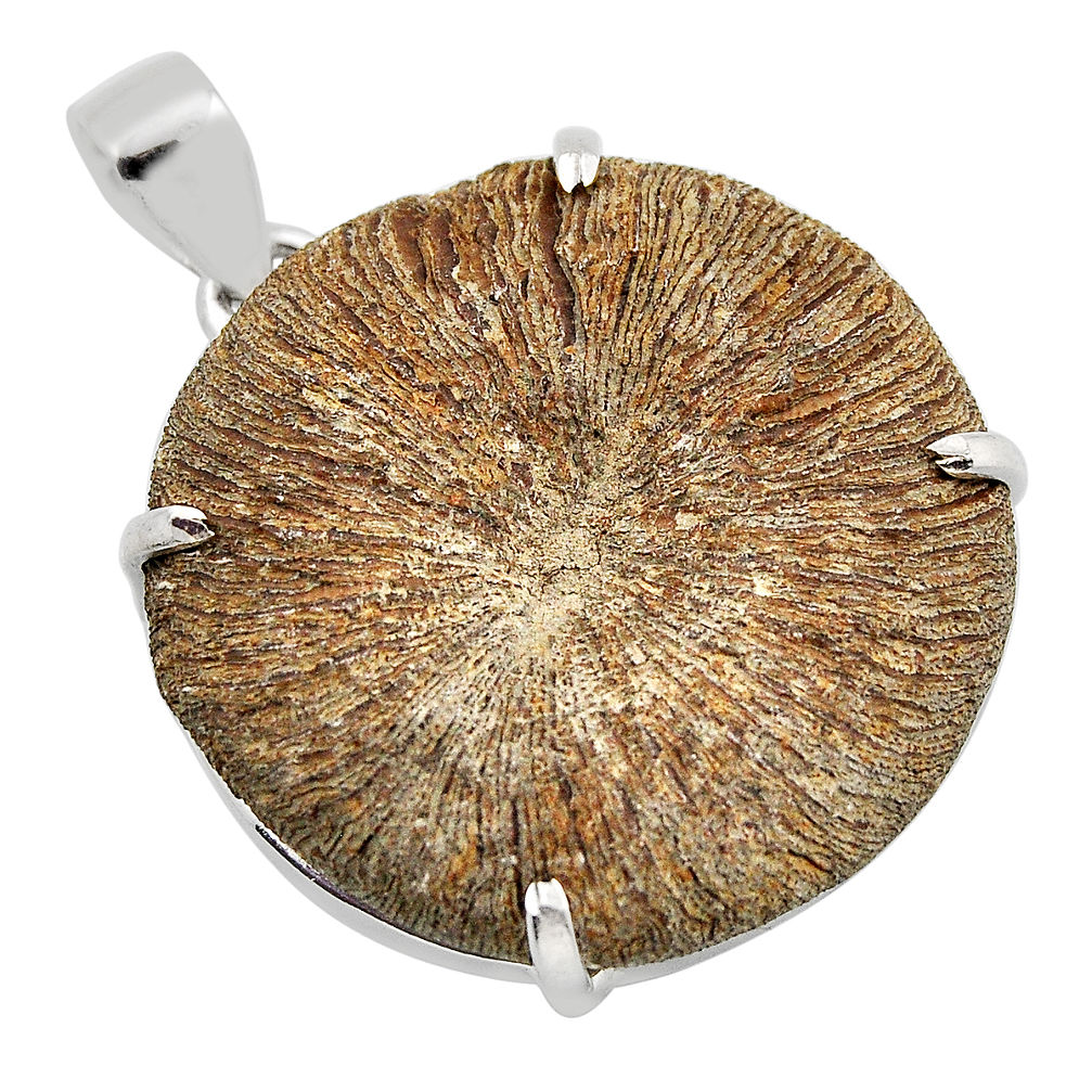 925 silver 48.83cts fossil coral (agatized) petoskey stone round pendant y88719