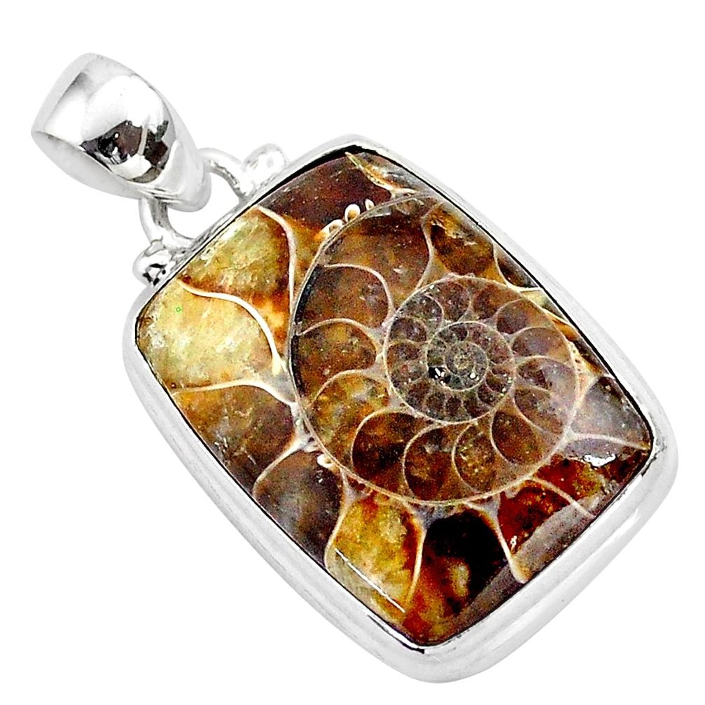 925 silver 17.60cts natural brown ammonite fossil octagan shape pendant t42445
