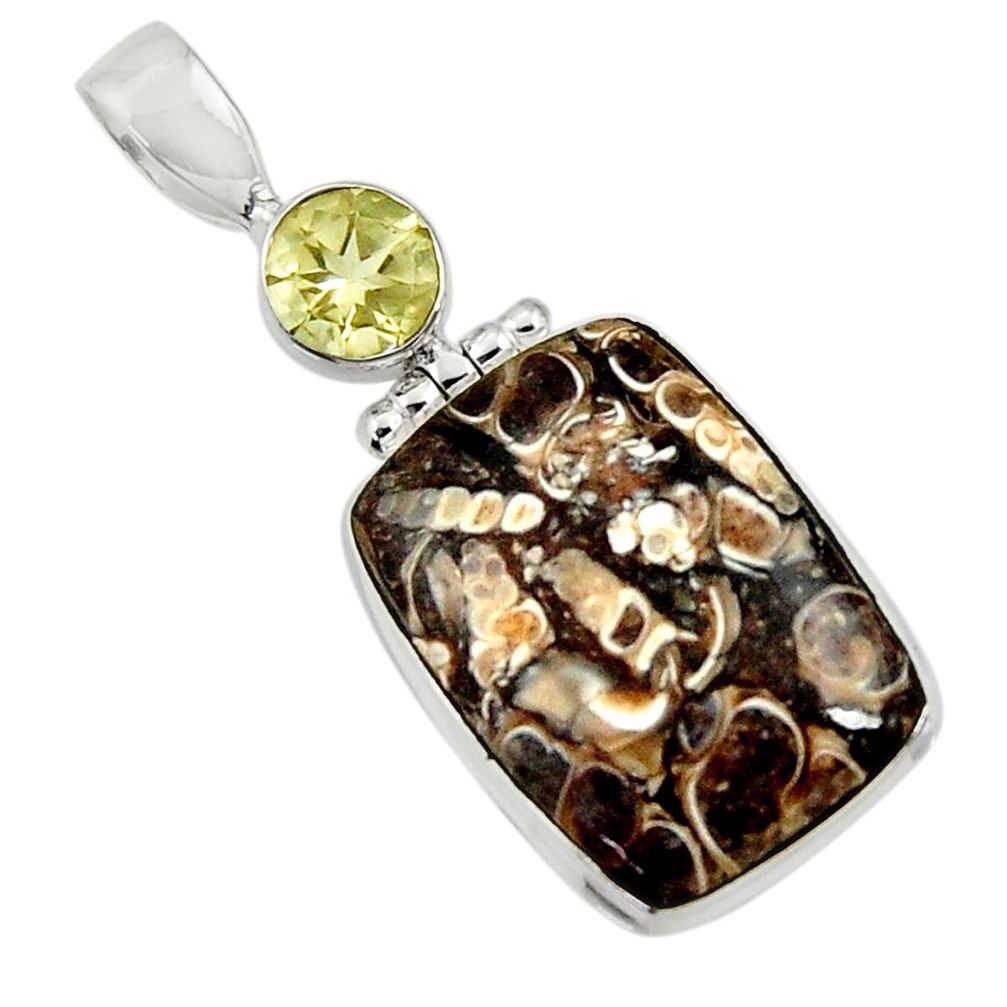 cts natural brown turritella fossil snail agate pendant d44592