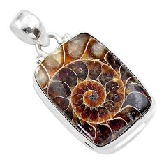 925 sterling silver 16.68cts natural ammonite fossil octagan pendant t42460
