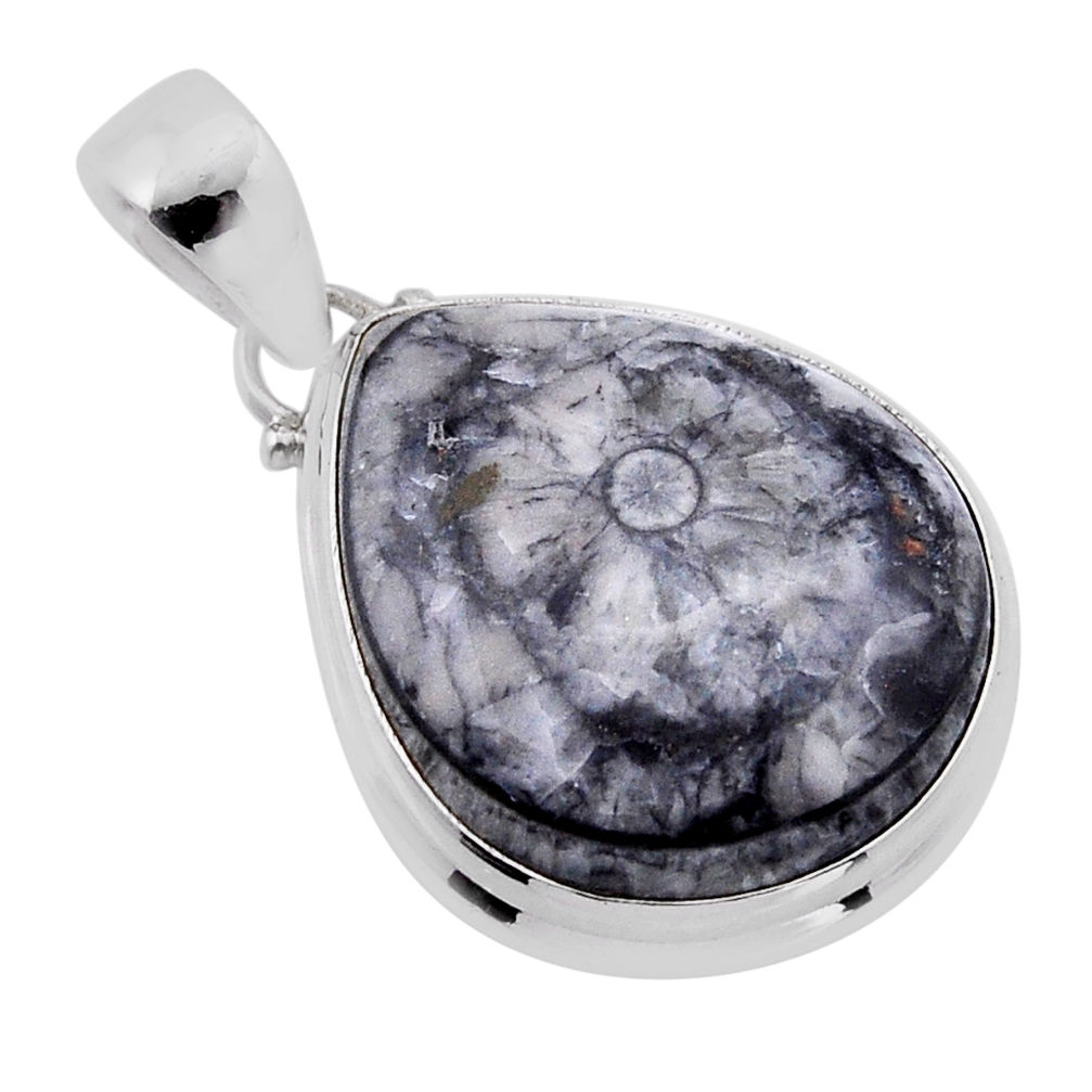 925 sterling silver 15.72cts natural black colus fossil pendant jewelry n51558