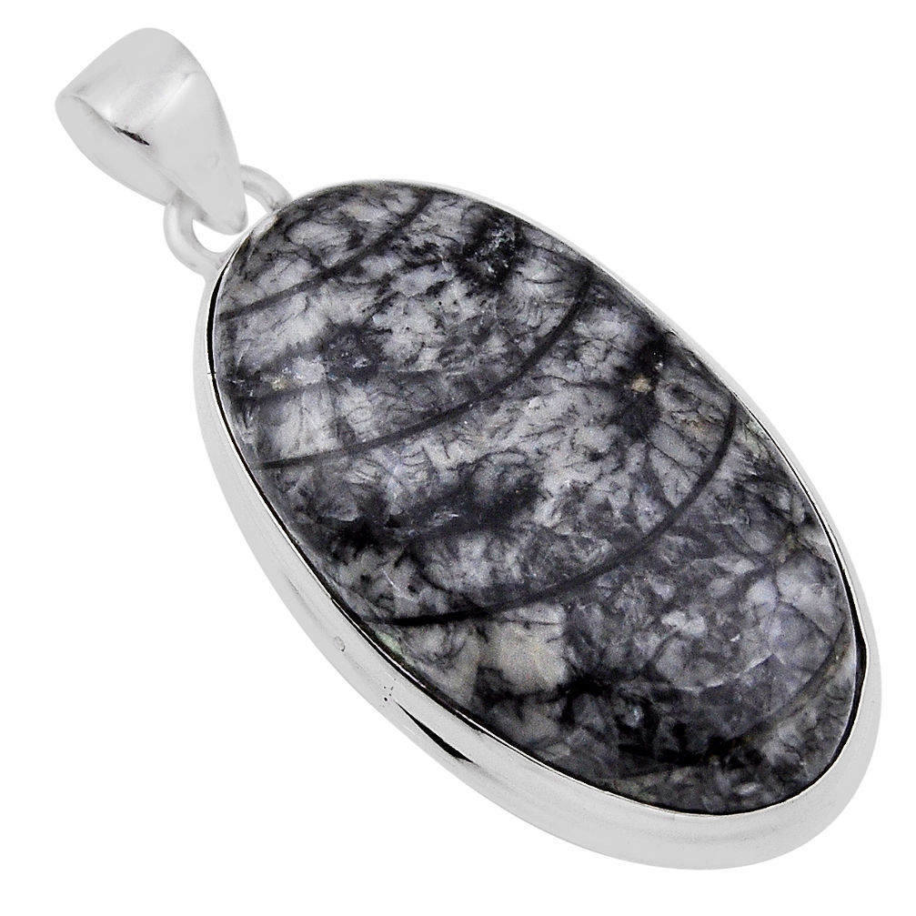 925 sterling silver 27.02cts natural black orthoceras oval shape pendant n31005