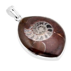 Ammonite Wear