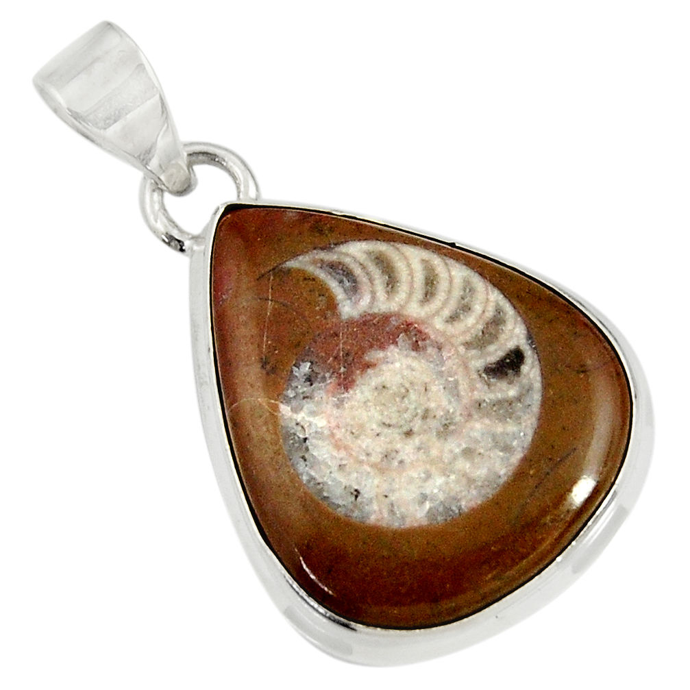 19.10cts natural brown colus fossil 925 sterling silver pendant jewelry d37622