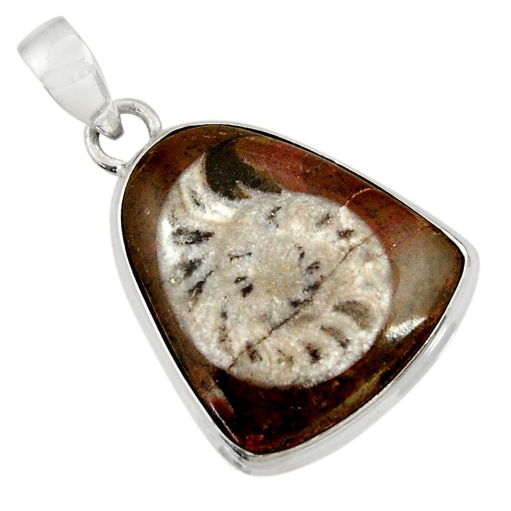  brown colus fossil 925 sterling silver pendant jewelry d37623
