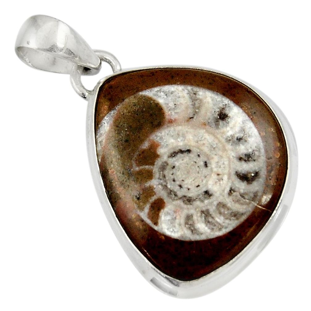 925 sterling silver 19.57cts natural brown colus fossil pendant jewelry d37624