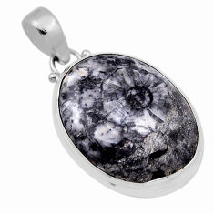 13.97cts natural black colus fossil 925 sterling silver pendant jewelry n29354