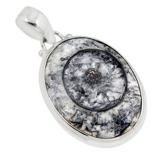 13.58cts natural black colus fossil 925 sterling silver pendant jewelry y52445