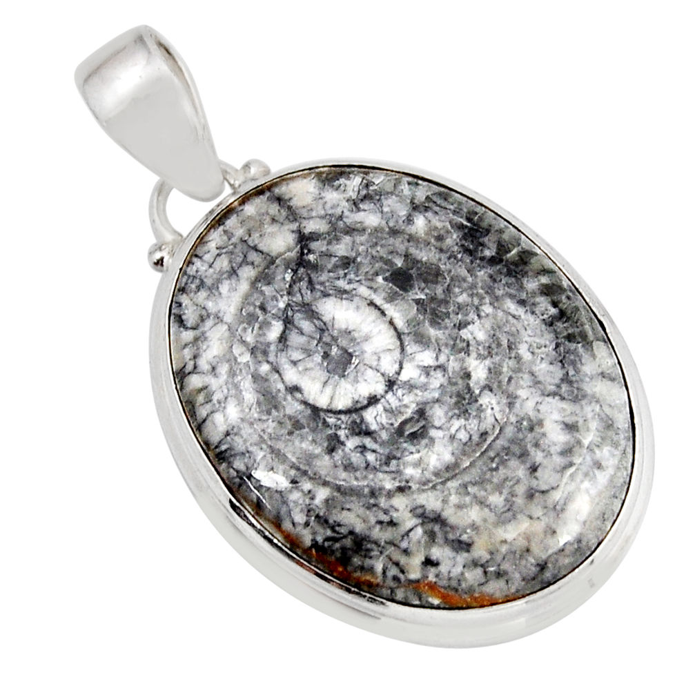 17.95cts natural black colus fossil 925 sterling silver pendant jewelry y52929