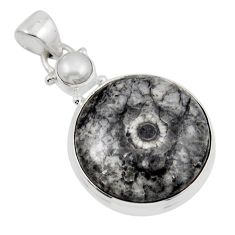 16.49cts natural black colus fossil pearl 925 sterling silver pendant y47550