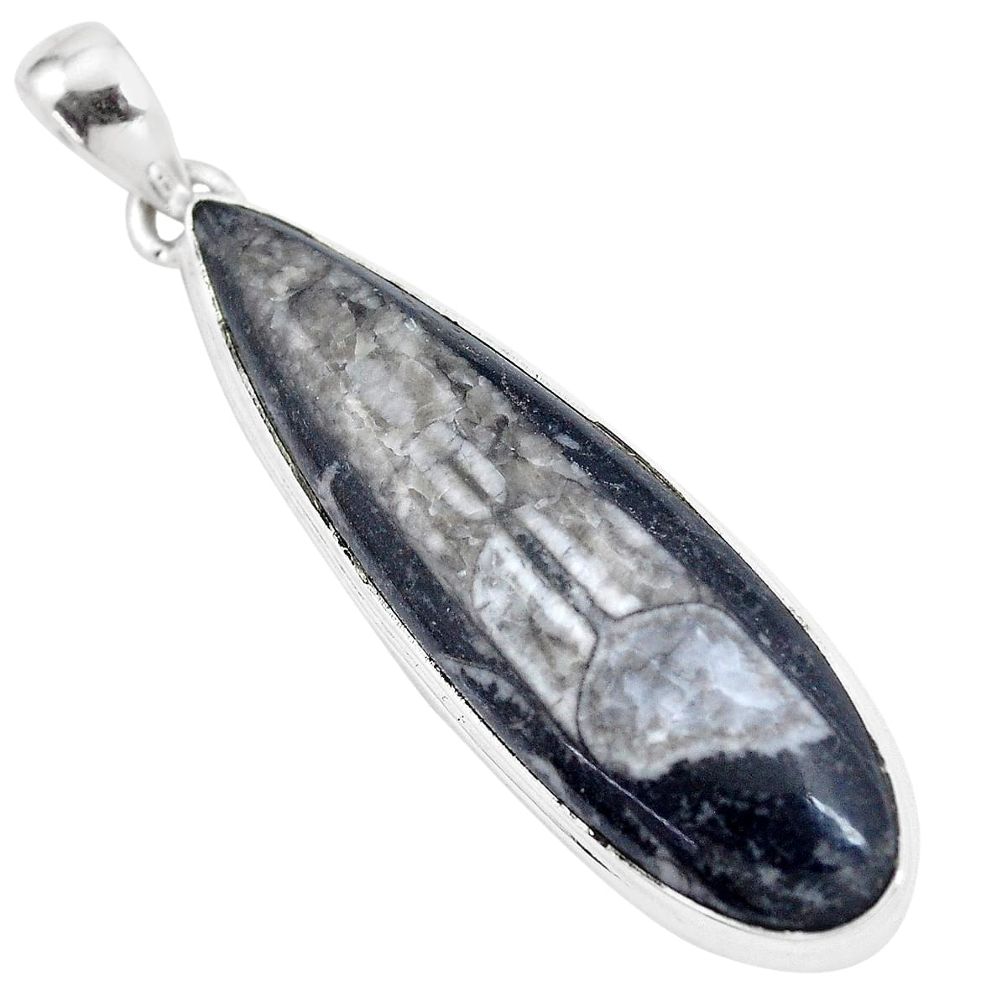  black orthoceras 925 sterling silver pendant jewelry p16175