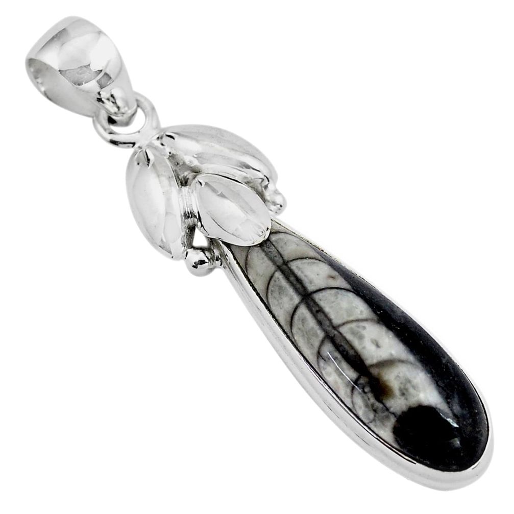 14.90cts natural black orthoceras 925 sterling silver pendant jewelry p86715