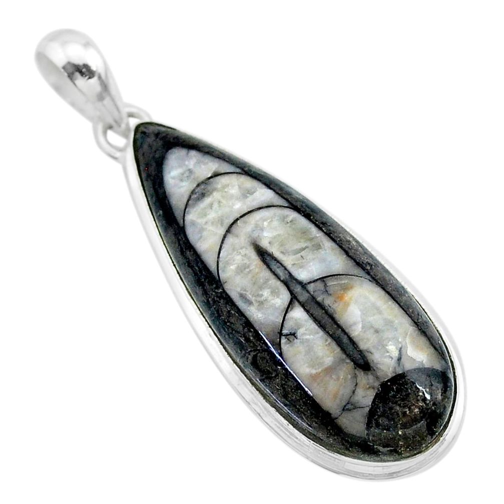 22.02cts natural black orthoceras 925 sterling silver pendant jewelry t32710