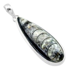 22.59cts natural black orthoceras 925 sterling silver pendant jewelry t32715