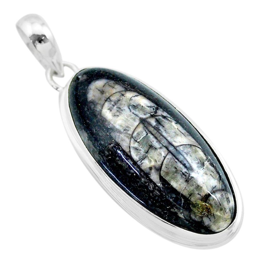 21.48cts natural black orthoceras 925 sterling silver pendant jewelry t32737