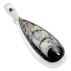 16.24cts natural black orthoceras 925 sterling silver pendant jewelry t76602