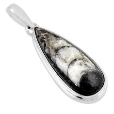 16.87cts natural black orthoceras 925 sterling silver pendant jewelry y51684