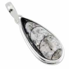15.39cts natural black orthoceras 925 sterling silver pendant jewelry y52687