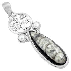 Clearance Sale- 25.00cts natural black orthoceras pearl 925 silver tree of life pendant p86560