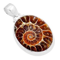 26.00cts natural brown ammonite fossil 925 sterling silver pendant jewelry y6051