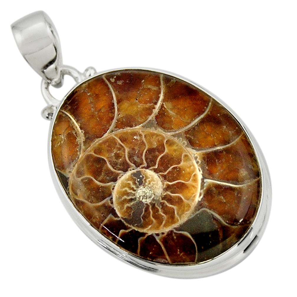 22.87cts natural brown ammonite fossil 925 sterling silver pendant r31787