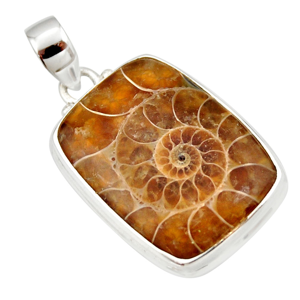 26.70cts natural brown ammonite fossil 925 sterling silver pendant r33966
