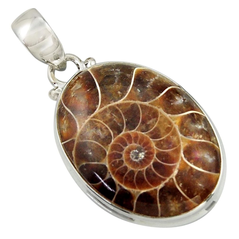 22.54cts natural brown ammonite fossil 925 sterling silver pendant r41848