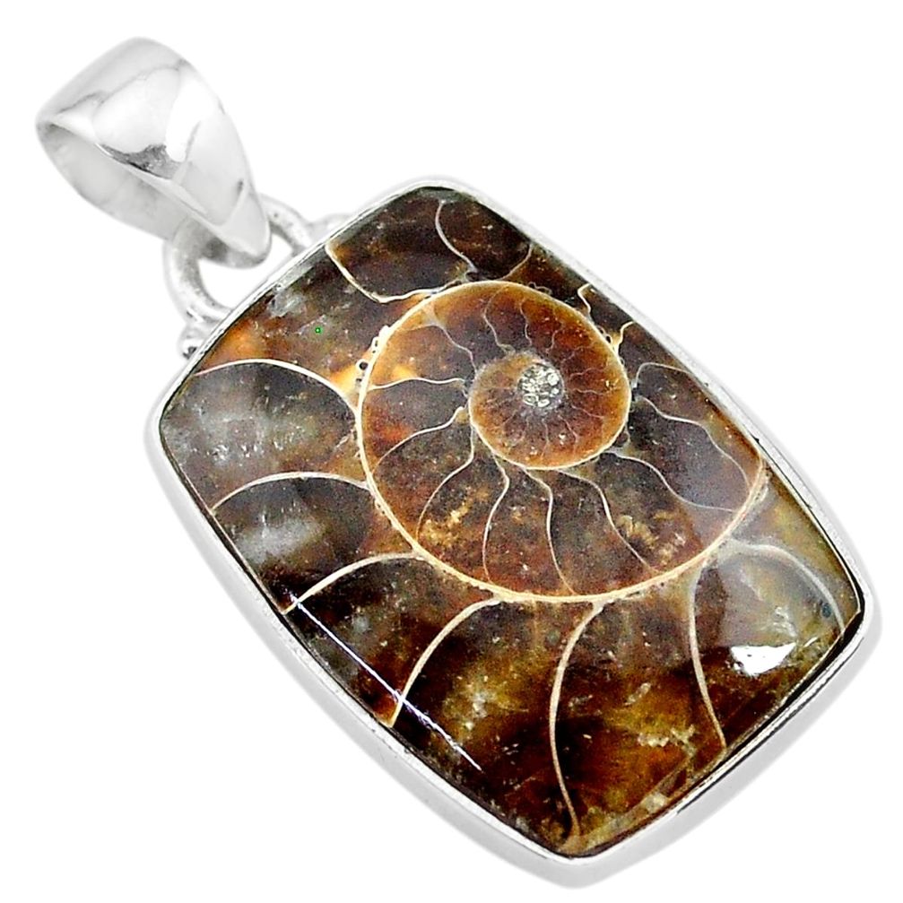 17.18cts natural brown ammonite fossil 925 sterling silver pendant t21583