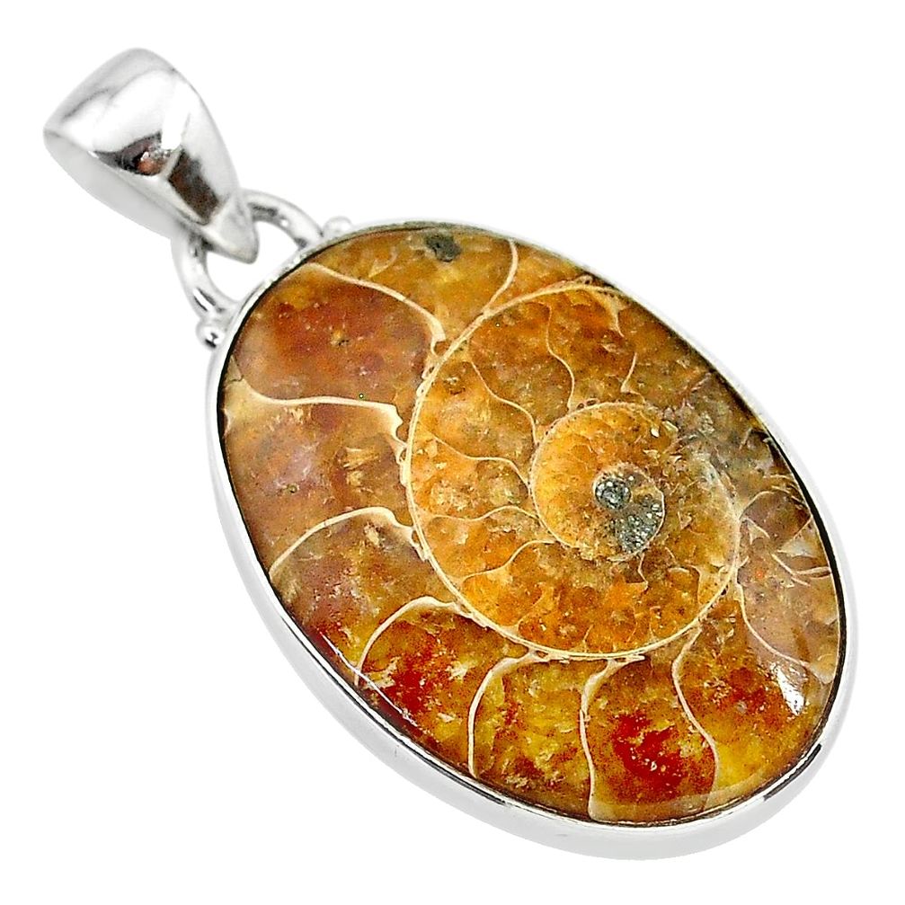 16.20cts natural brown ammonite fossil 925 sterling silver pendant t21621
