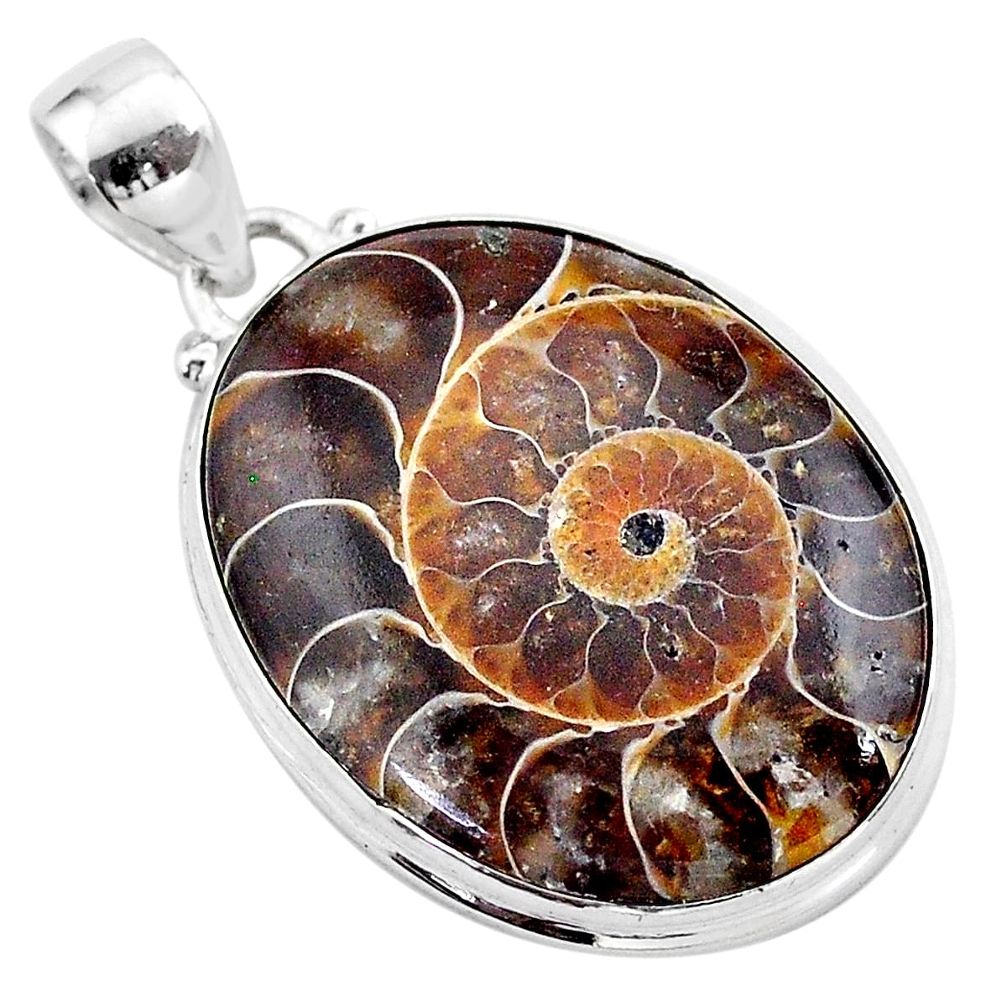 19.57cts natural brown ammonite fossil 925 sterling silver pendant t42488