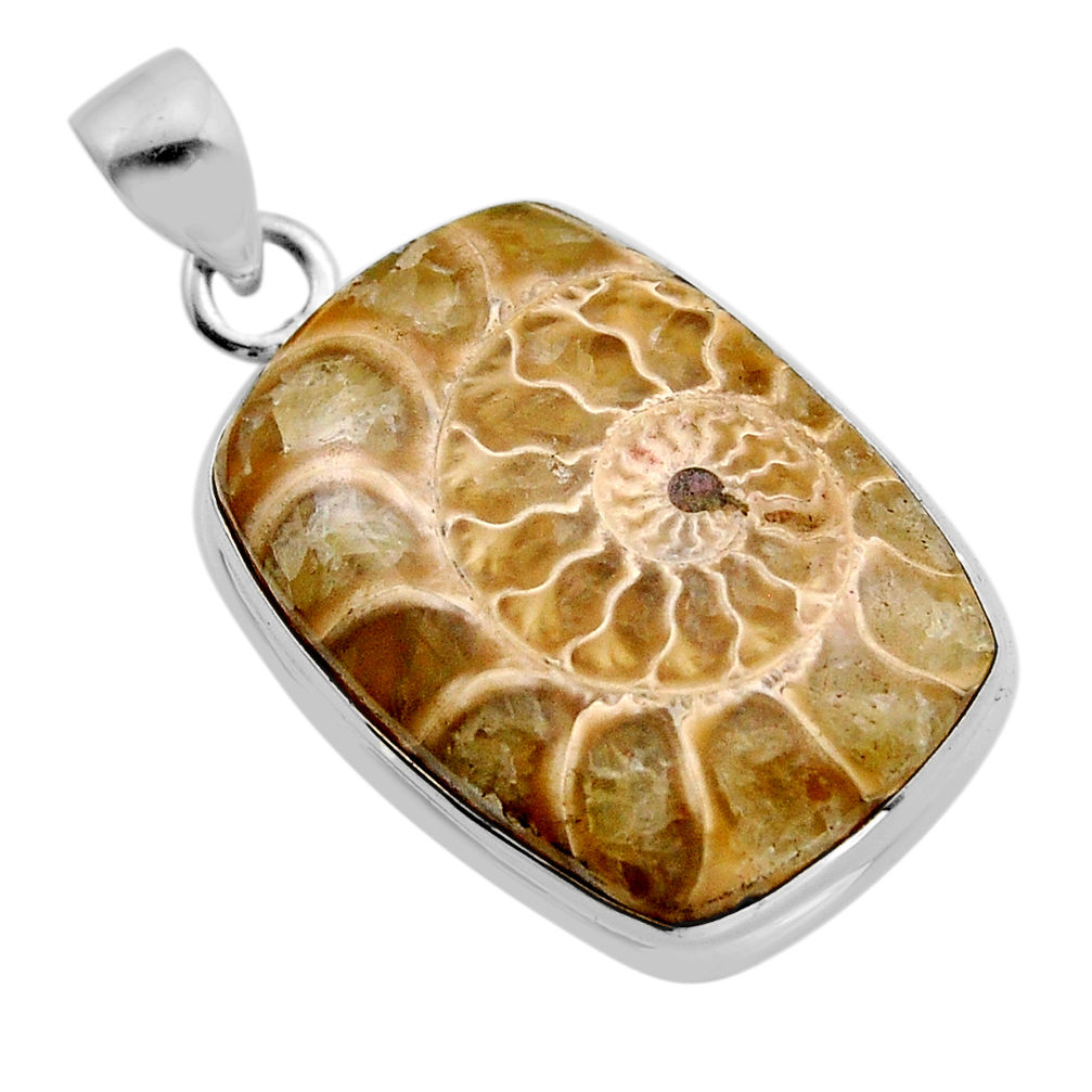 22.44cts natural brown ammonite fossil octagan sterling silver pendant y83808