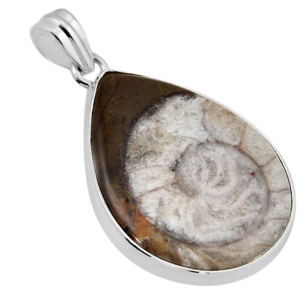 25.60cts natural brown ammonite fossil pear 925 sterling silver pendant y51466