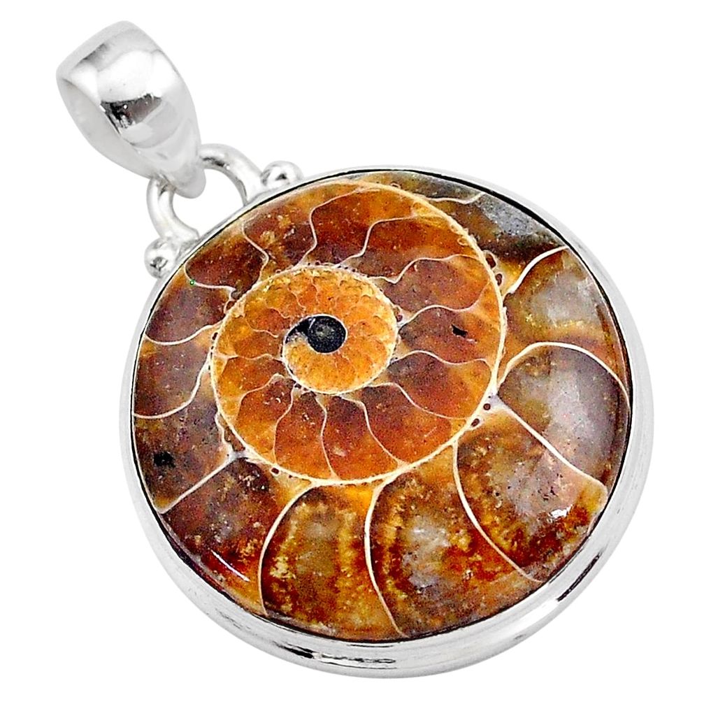 22.02cts natural brown ammonite fossil round 925 sterling silver pendant t42500