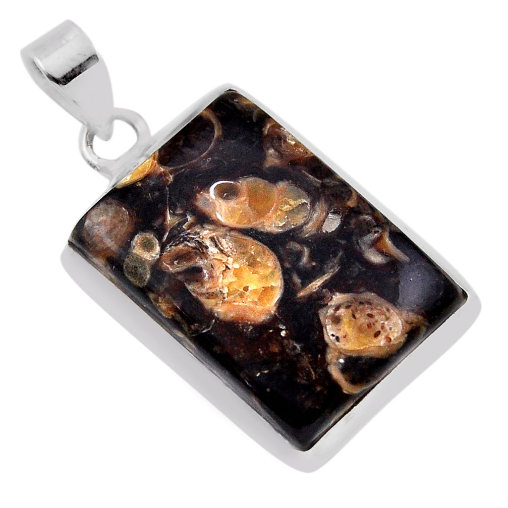 16.49cts natural brown turritella fossil snail agate 925 silver pendant n35069