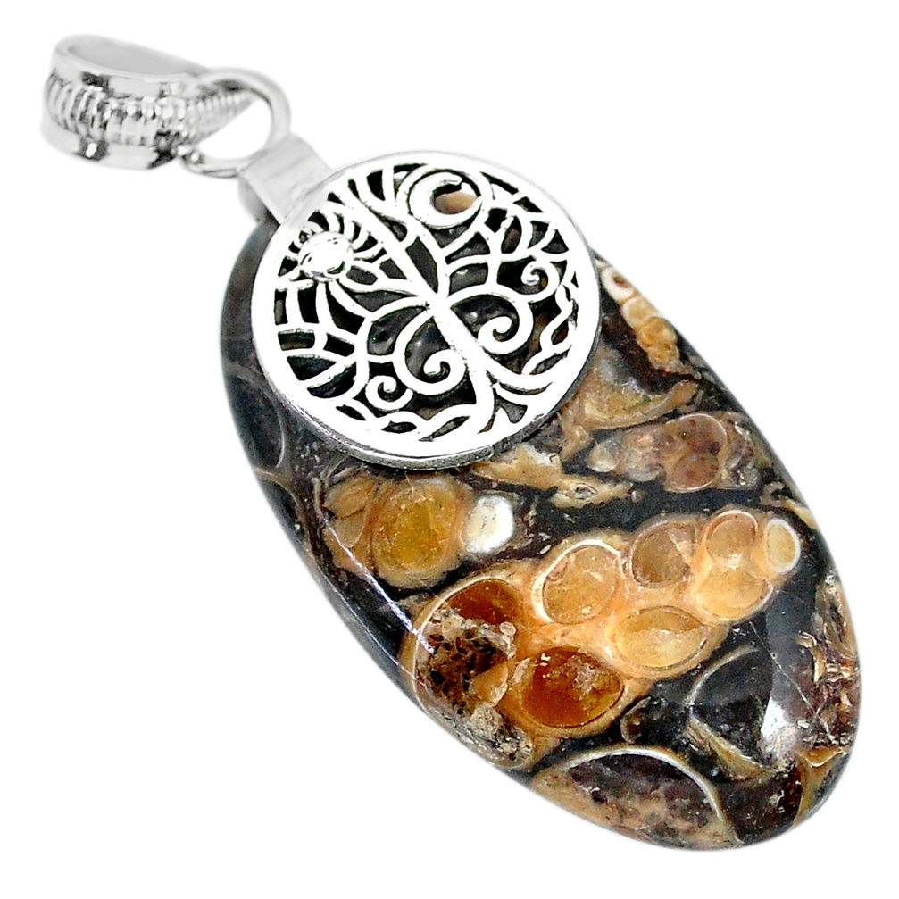  brown turritella fossil snail agate 925 silver pendant r91262