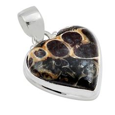 16.87cts natural brown turritella fossil snail agate 925 silver pendant y23258