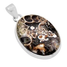 16.87cts natural brown turritella fossil snail agate 925 silver pendant y92356