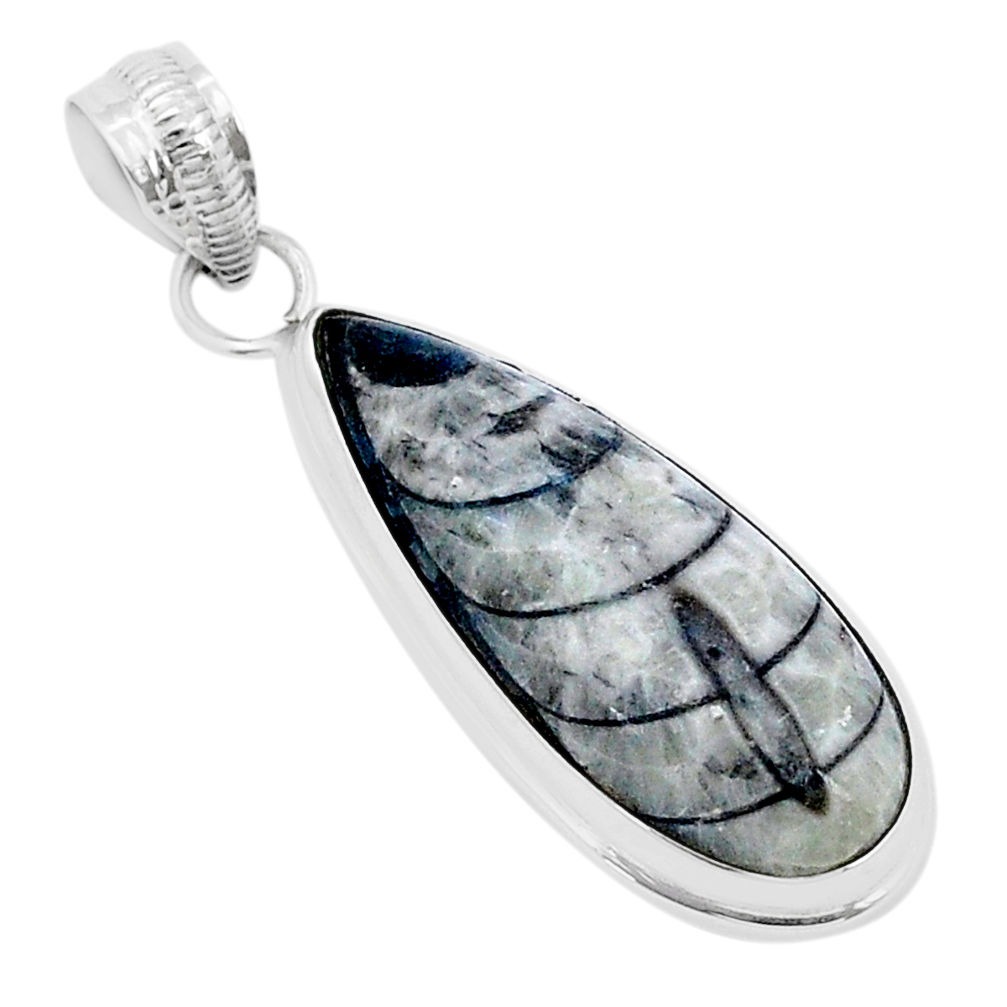 16.42cts natural grey orthoceras 925 sterling silver pendant jewelry u72522