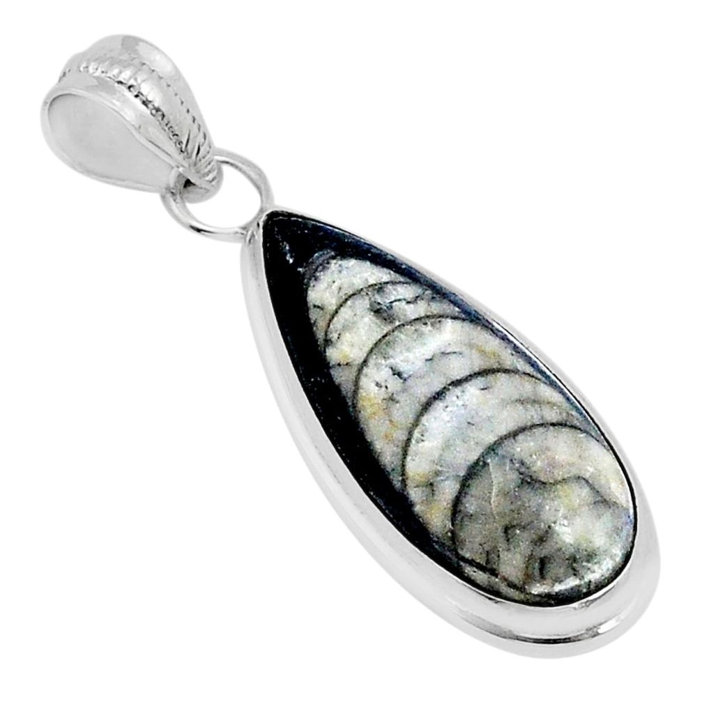 15.38cts natural grey orthoceras 925 sterling silver pendant jewelry u72559