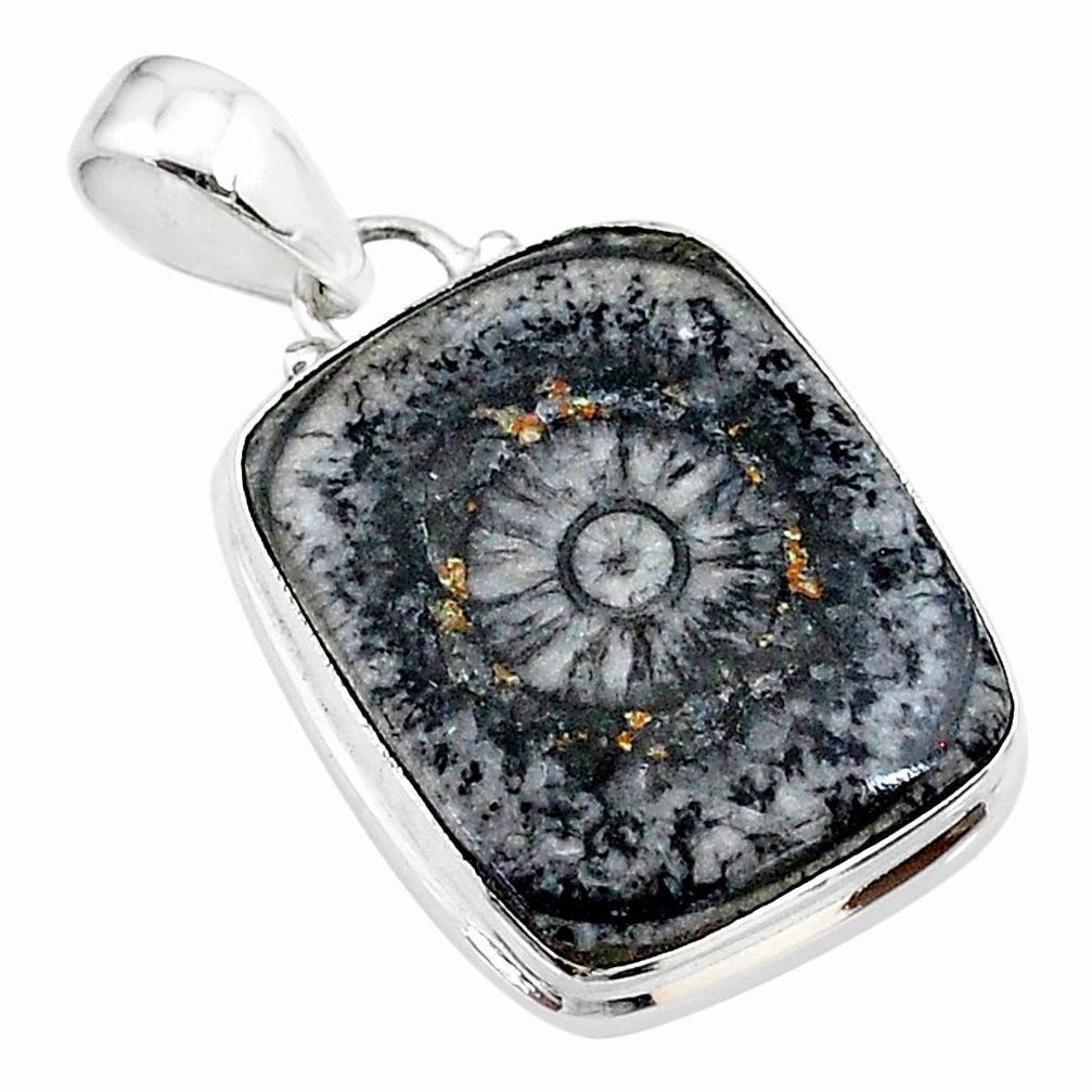 13.67cts natural horn coral octagan 925 sterling silver pendant jewelry t18283