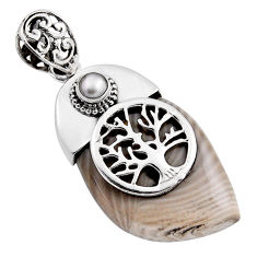 29.52cts natural striped flint ohio pearl 925 silver tree of life pendant n25311