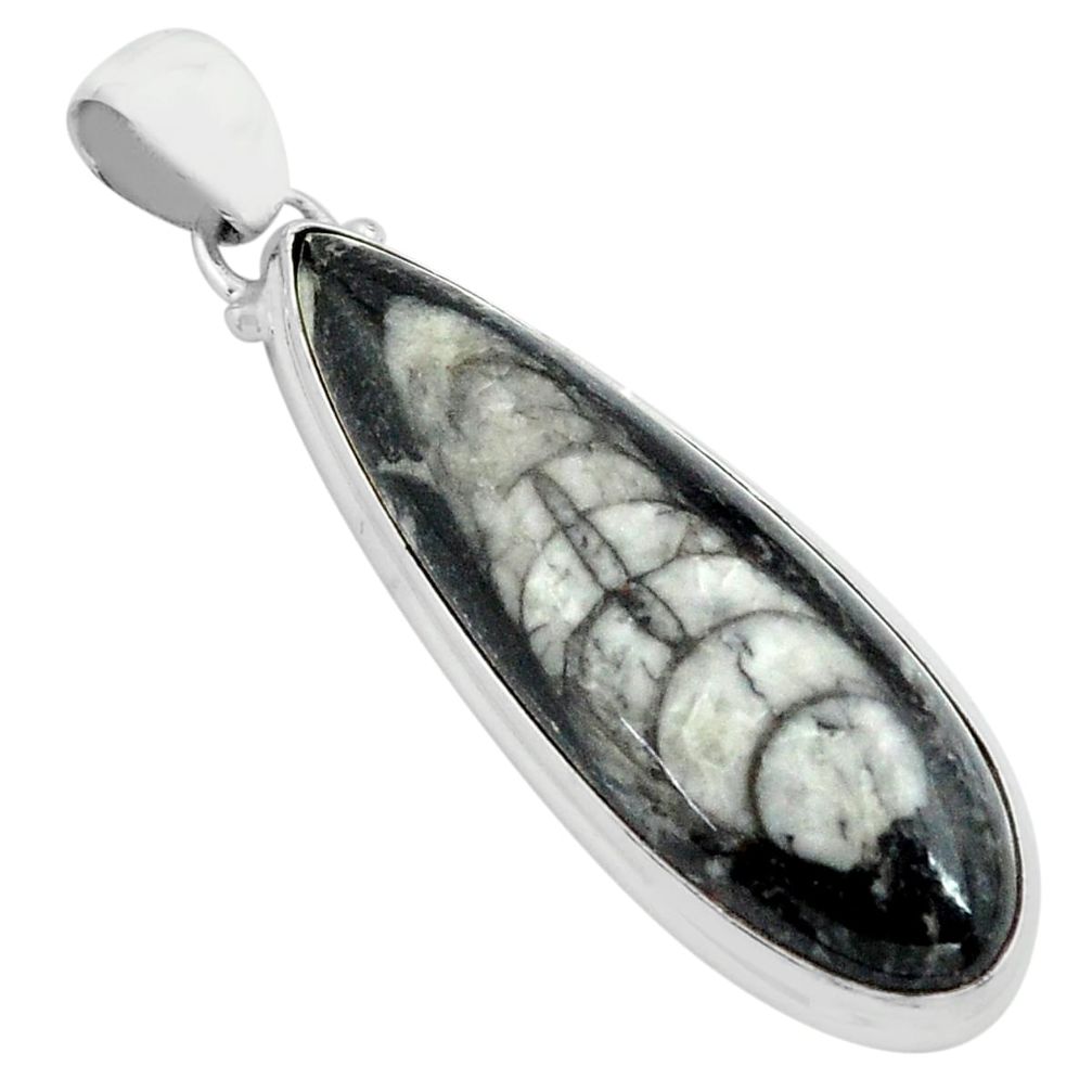 25.00cts natural black orthoceras 925 sterling silver pendant jewelry p80456