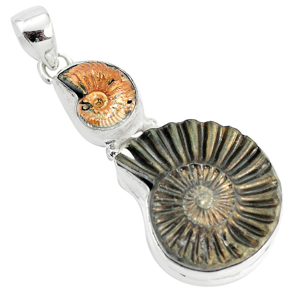 29.40cts natural brown pleuroceras ammonite 925 sterling silver pendant p35840