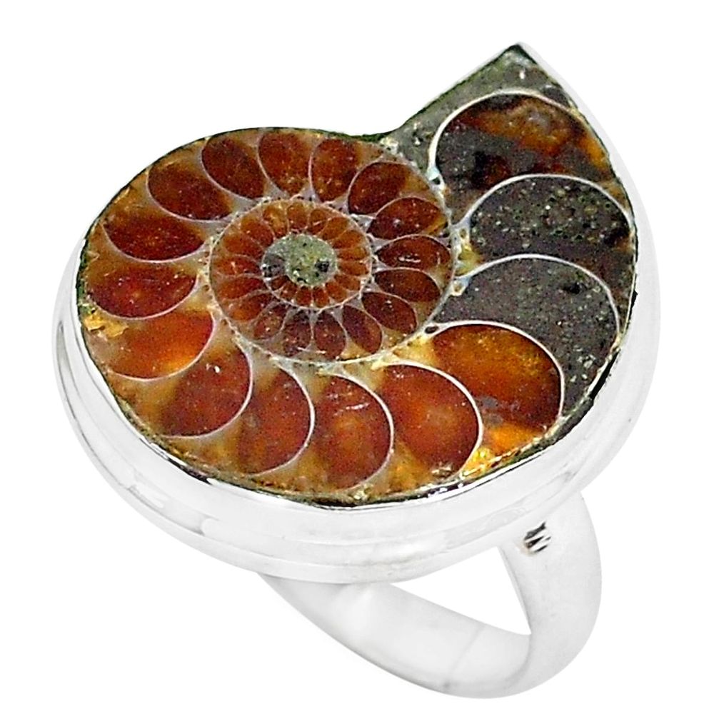 925 silver 15.55cts natural brown ammonite fossil solitaire ring size 6 d31368