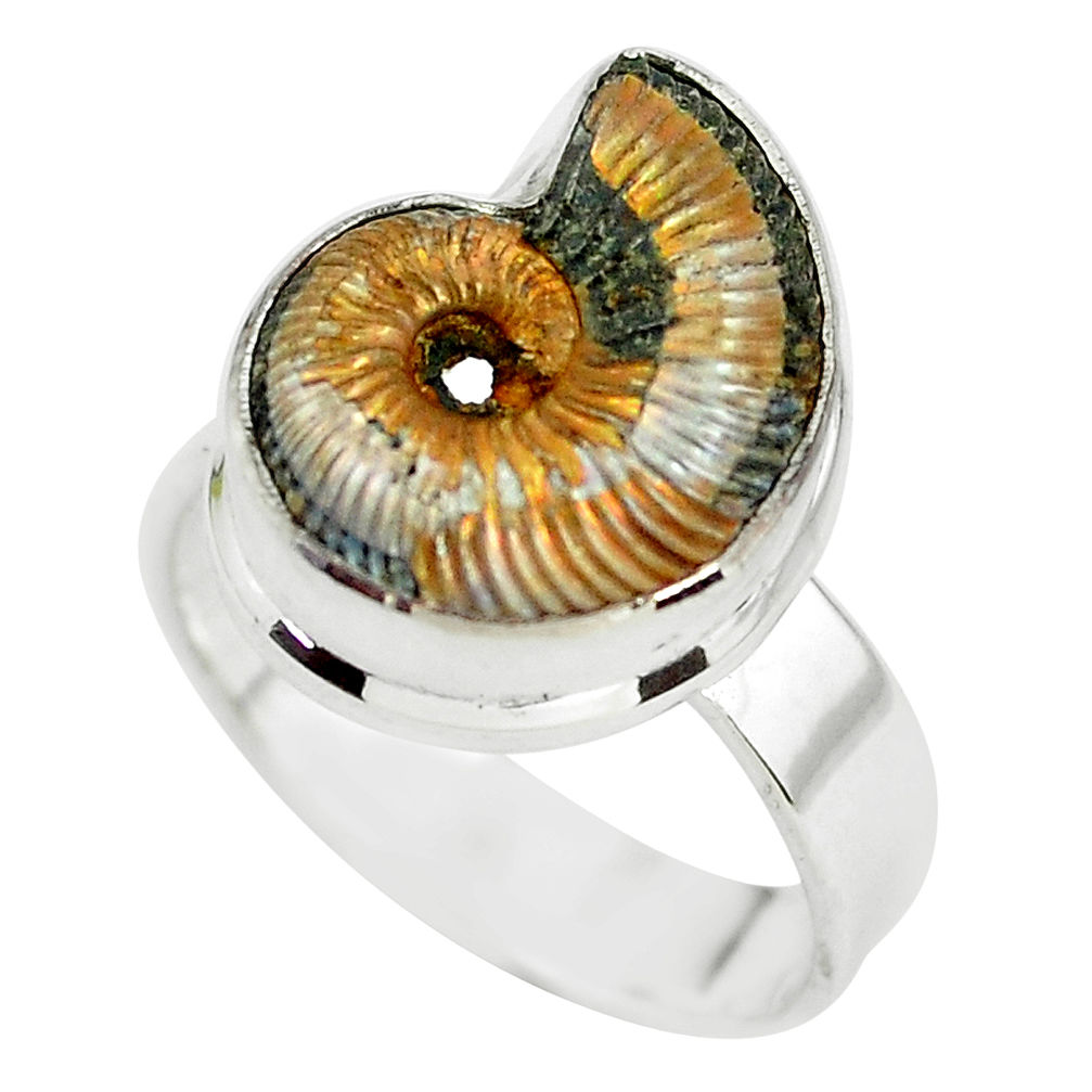 925 silver natural russian jurassic opal ammonite solitaire ring size 8 p64738