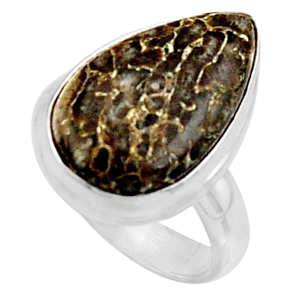 11.64cts natural dinosaur bone fossilized silver solitaire ring size 6.5 r11606