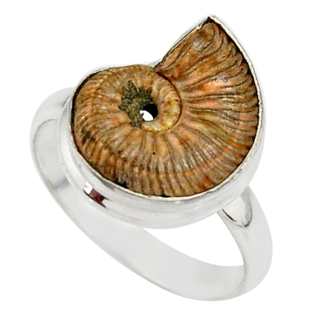 925 silver 7.11cts natural russian jurassic opal ammonite ring size 10 r39597