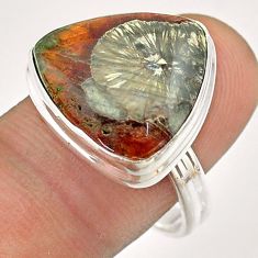 925 silver 13.20cts solitaire natural brown ammonite fossil ring size 9 t54453
